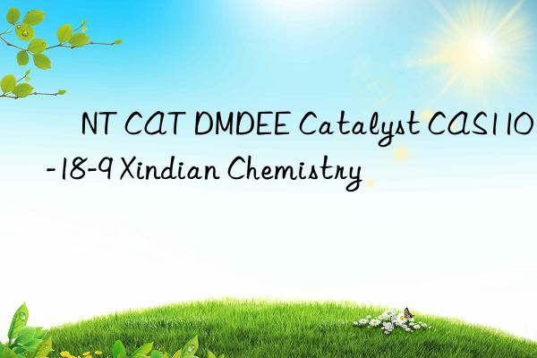 ​NT CAT DMDEE Catalyst CAS110-18-9 Xindian Chemistry