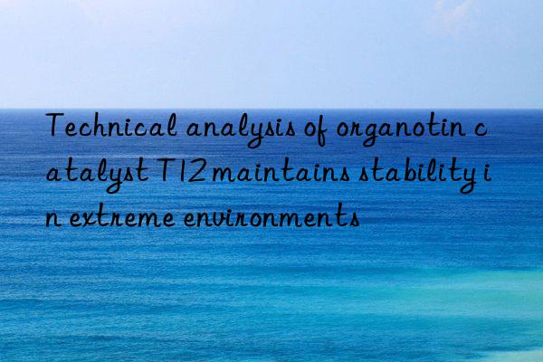 Technical analysis of organotin catalyst T12 maintains stability in extreme environments