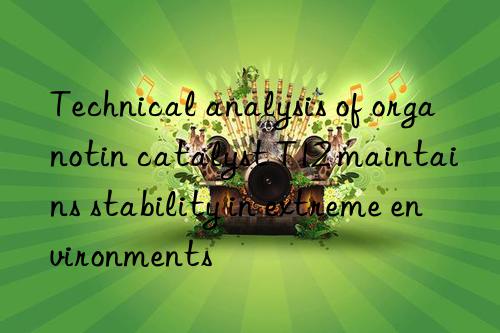 Technical analysis of organotin catalyst T12 maintains stability in extreme environments