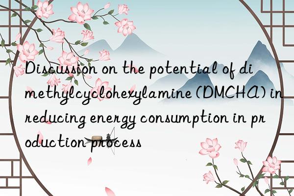 Discussion on the potential of dimethylcyclohexylamine (DMCHA) in reducing energy consumption in production process