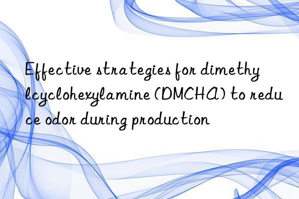 Effective strategies for dimethylcyclohexylamine (DMCHA) to reduce odor during production