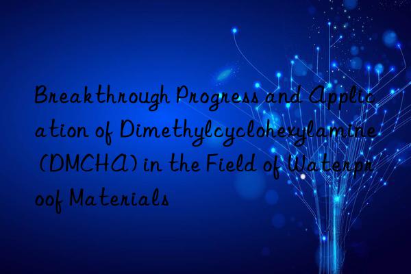 Breakthrough Progress and Application of Dimethylcyclohexylamine (DMCHA) in the Field of Waterproof Materials