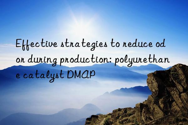 Effective strategies to reduce odor during production: polyurethane catalyst DMAP