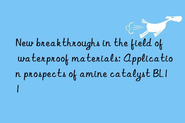 New breakthroughs in the field of waterproof materials: Application prospects of amine catalyst BL11