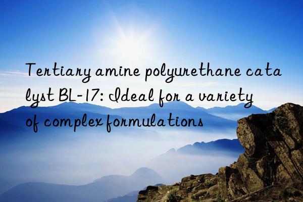 Tertiary amine polyurethane catalyst BL-17: Ideal for a variety of complex formulations