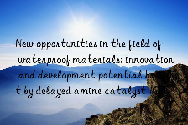 New opportunities in the field of waterproof materials: innovation and development potential brought by delayed amine catalyst 1027