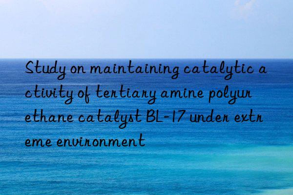 Study on maintaining catalytic activity of tertiary amine polyurethane catalyst BL-17 under extreme environment