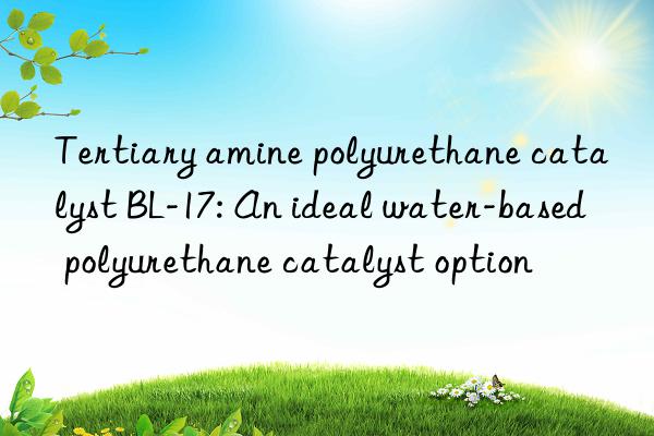 Tertiary amine polyurethane catalyst BL-17: An ideal water-based polyurethane catalyst option