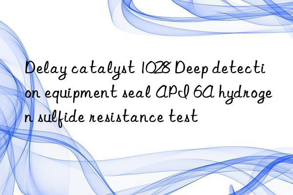 Delay catalyst 1028 Deep detection equipment seal API 6A hydrogen sulfide resistance test