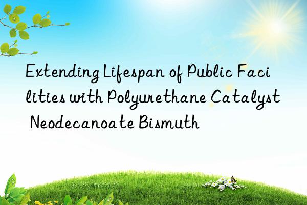 Extending Lifespan of Public Facilities with Polyurethane Catalyst Neodecanoate Bismuth