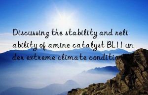 Discussing the stability and reliability of amine catalyst BL11 under extreme climate conditions