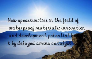 New opportunities in the field of waterproof materials: innovation and development potential brought by delayed amine catalyst 1027