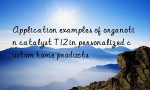 Application examples of organotin catalyst T12 in personalized custom home products