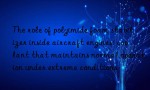 The role of polyimide foam stabilizer inside aircraft engines: coolant that maintains normal operation under extreme conditions