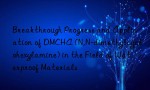 Breakthrough Progress and Application of DMCHA (N,N-dimethylcyclohexylamine) in the Field of Waterproof Materials