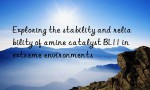 Exploring the stability and reliability of amine catalyst BL11 in extreme environments