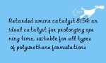 Retarded amine catalyst 8154: an ideal catalyst for prolonging opening time, suitable for all types of polyurethane formulations