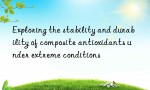 Exploring the stability and durability of composite antioxidants under extreme conditions