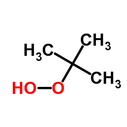 tert-butyl hydroperoxide