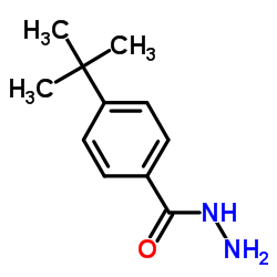 p-tert-butylbenzoylhydrazide