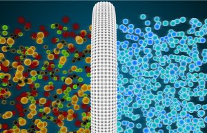 Rhamnolipid is environmentally friendly and has broad market application prospects