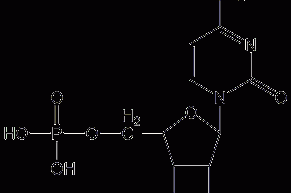 5'-cytidine monophosphate structural formula