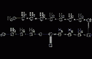 Butyl myristate structural formula