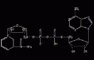 3-acetylpyridine adenine dinucleotide structural formula