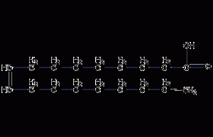 Oleic acid structural formula