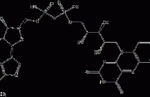 Adenine flavin structural formula