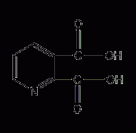 2,3-pyridinedicarboxylic acid structural formula