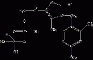 Cocarboxylase structural formula