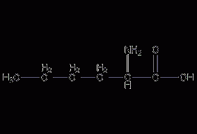 DL-norleucine structural formula