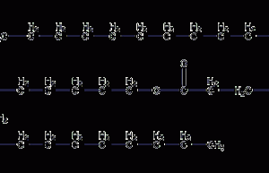 Structural formula of palmityl palmitate