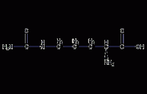 Citrulline Structural Formula