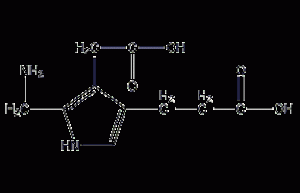 Porphyrinogen structural formula